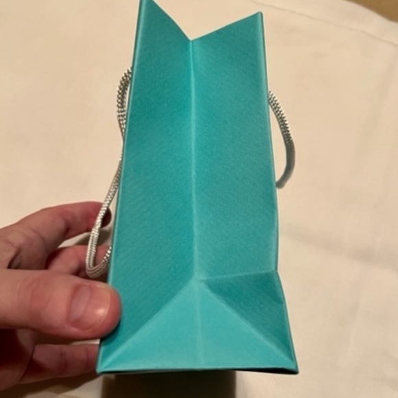 Authentic Tiffany & Co Petite Shopping/Gift Bag​​​​​​​​​​​​​​​​​​ - Picture 4 of 5
